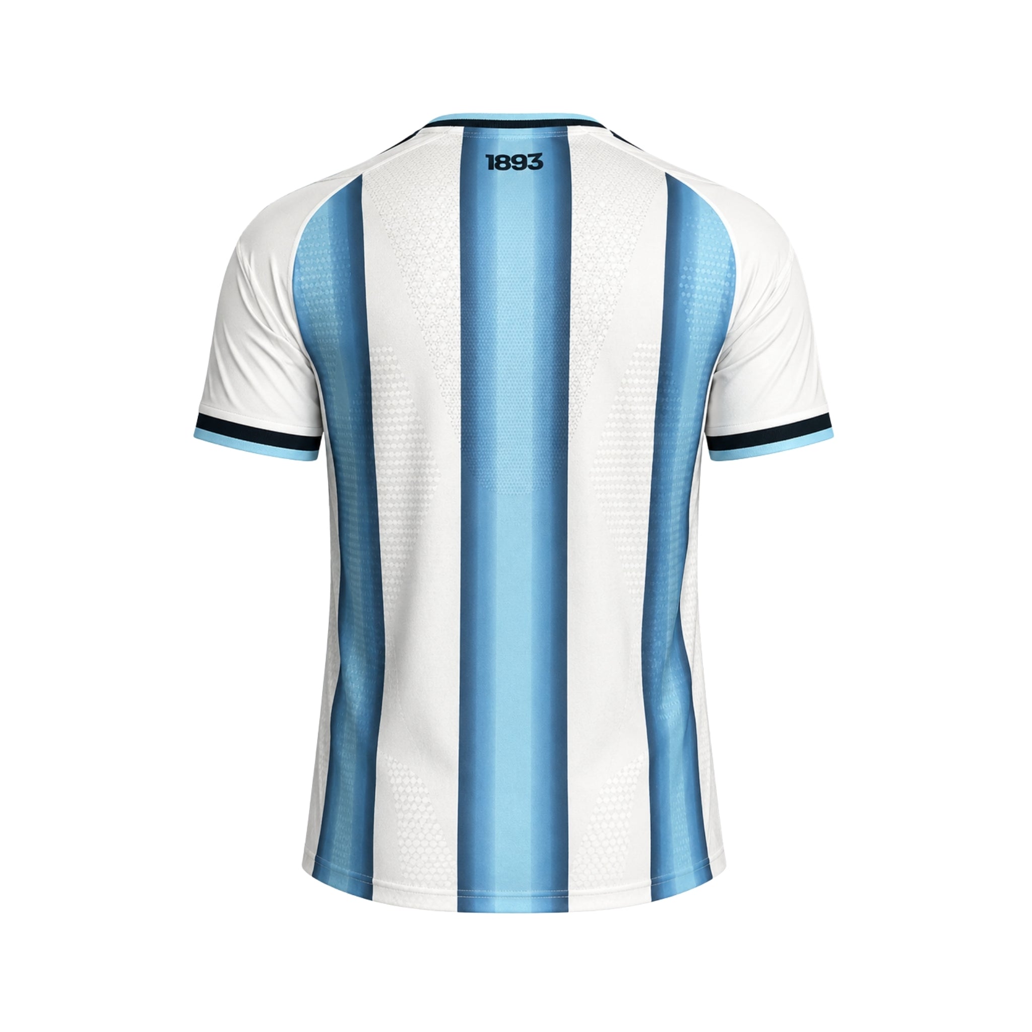 Argentine Domicile 26/27 - Coupe du Monde 2026 - Version Joueur