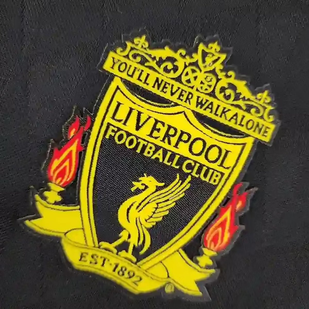 Liverpool Third 10/11 - Detail