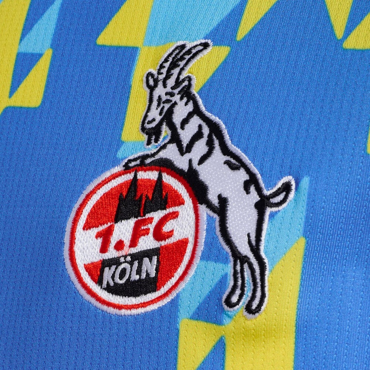 FC Köln Goalkeepers 25/26 - Detail