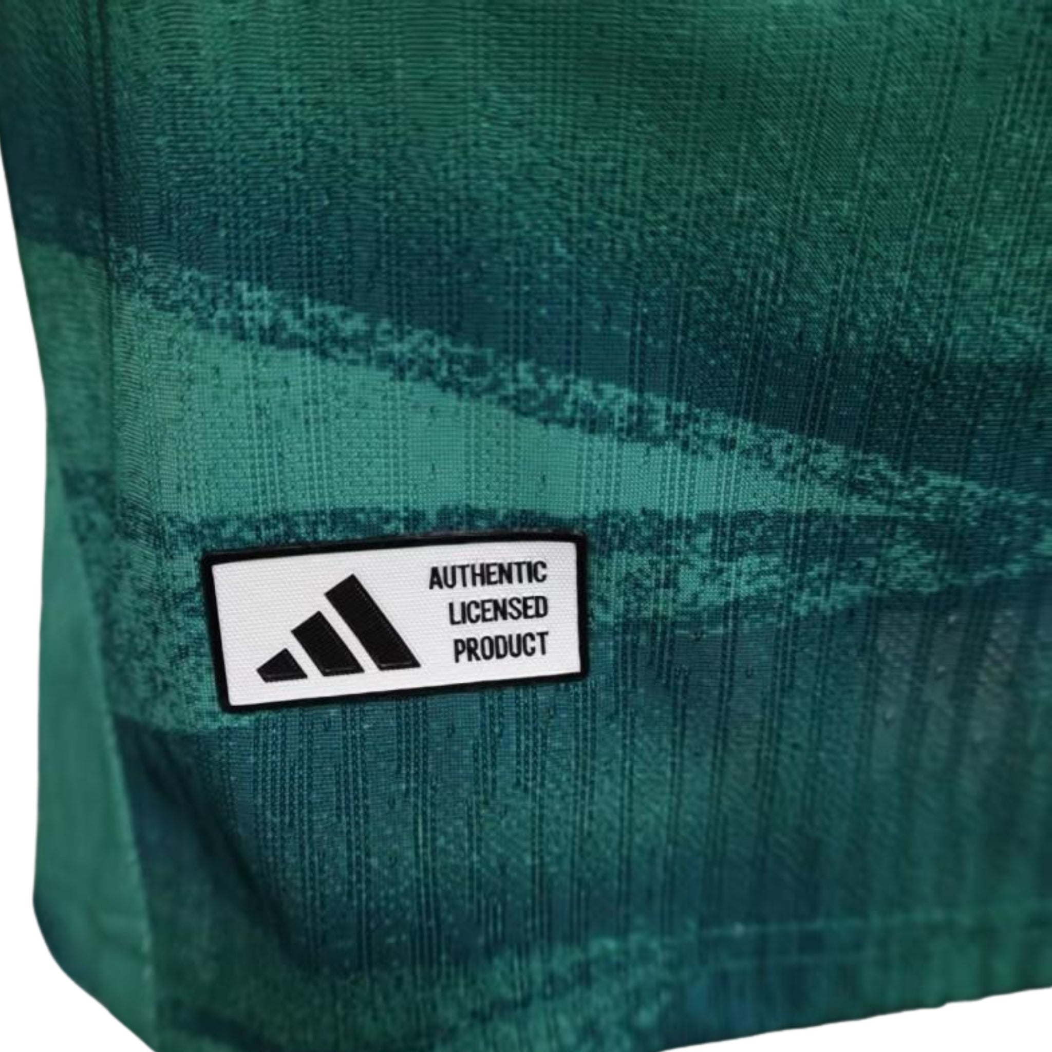 Allemagne Gardiens de But 26/27 - Coupe du Monde 2026 - Version Joueur