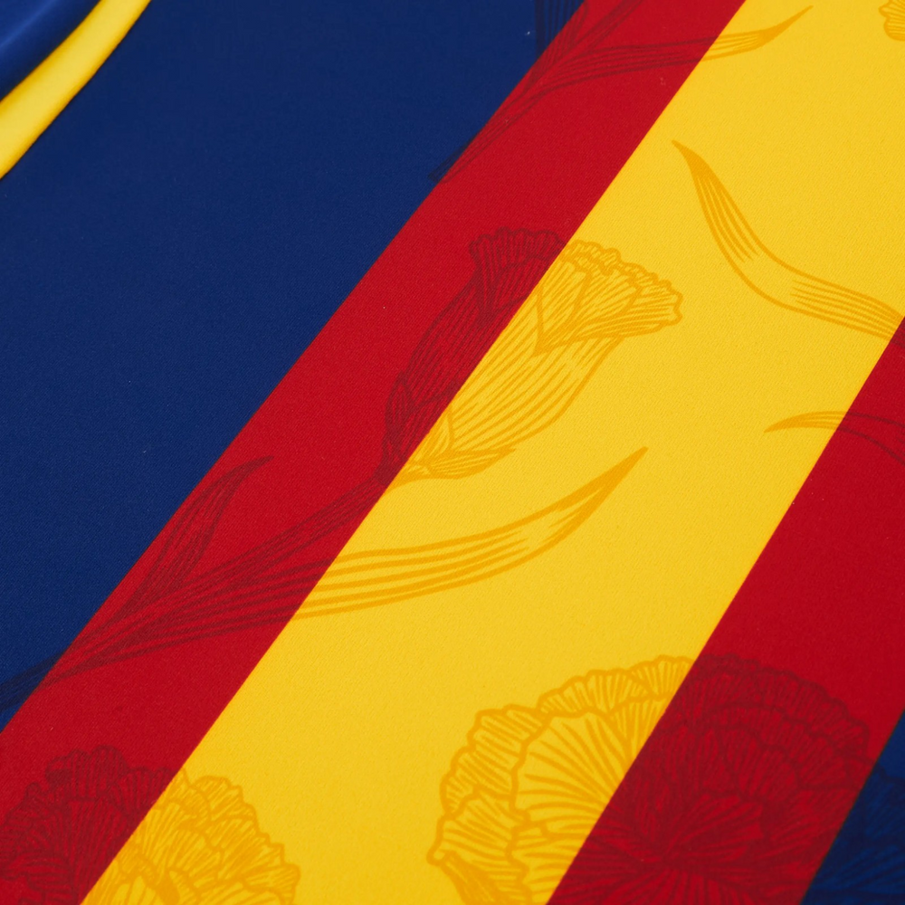 Camiseta España Entrenamiento 24/25