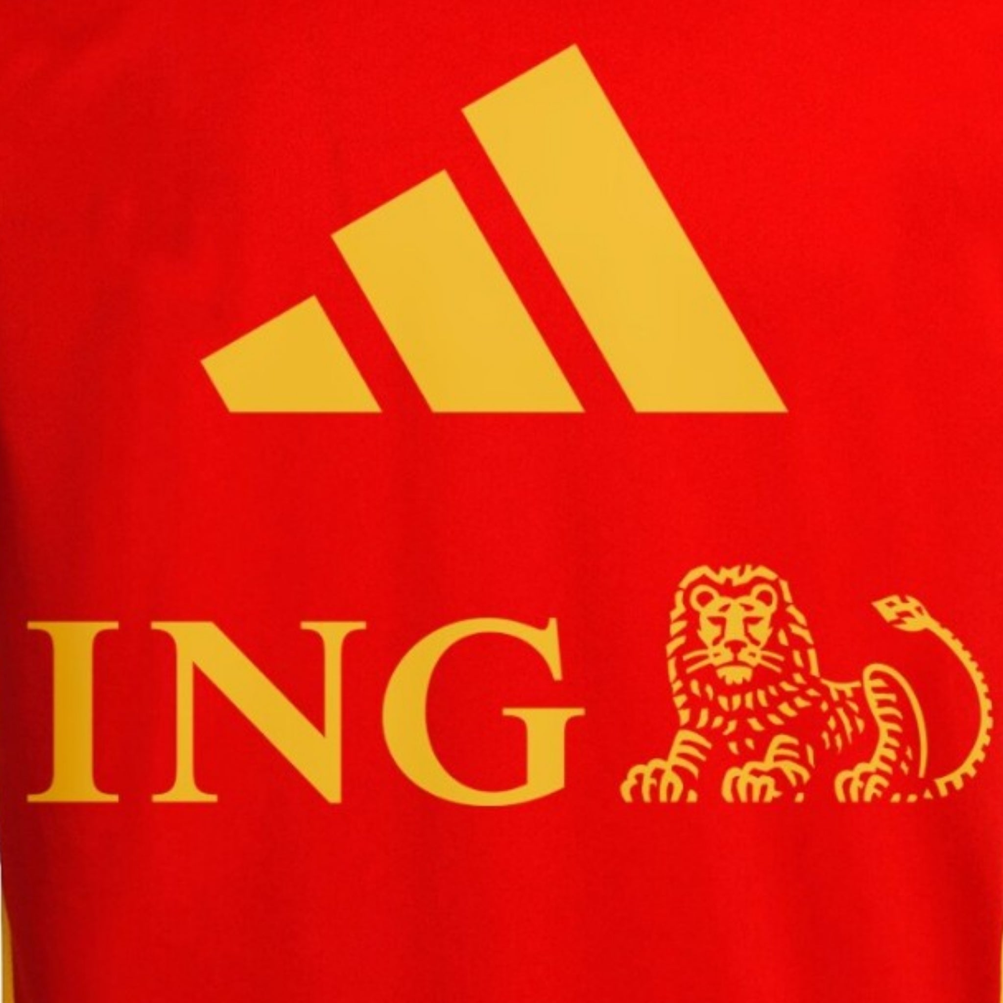 Belgique Entraînement 26/27 - Coupe du Monde 2026
