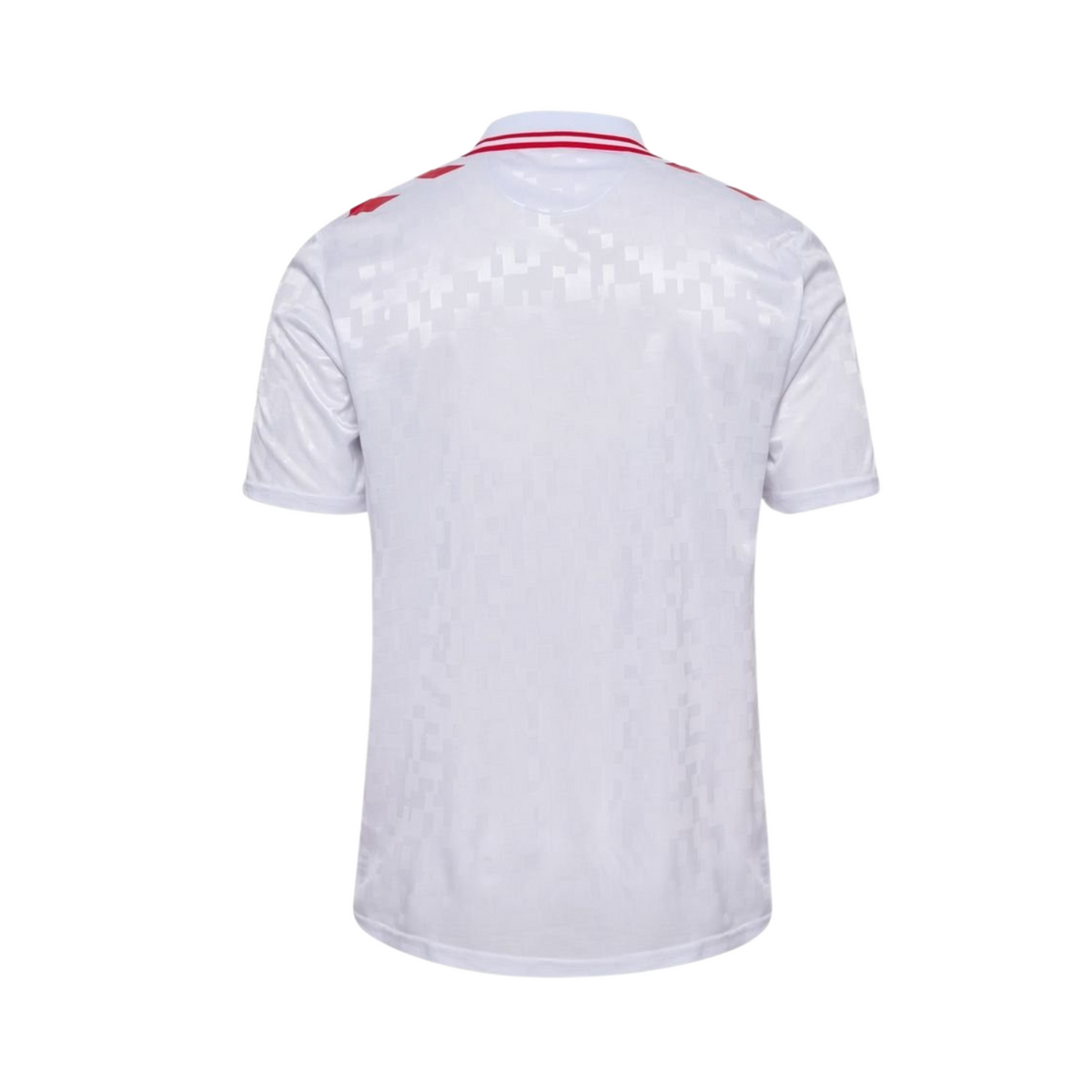 Denmark Away 24/25 - Back view
