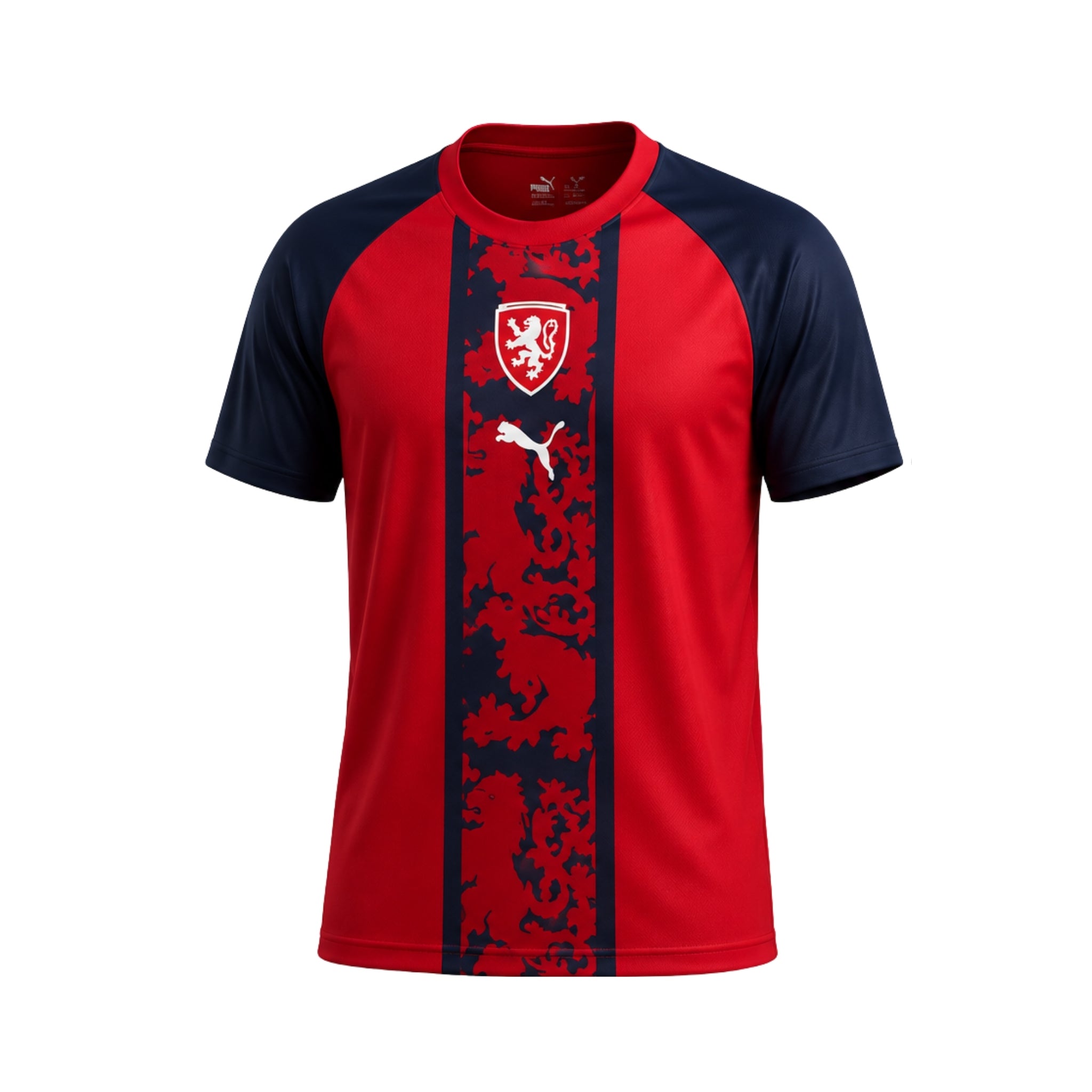 Czech Republic Match Preview 26/27 - World Cup 2026