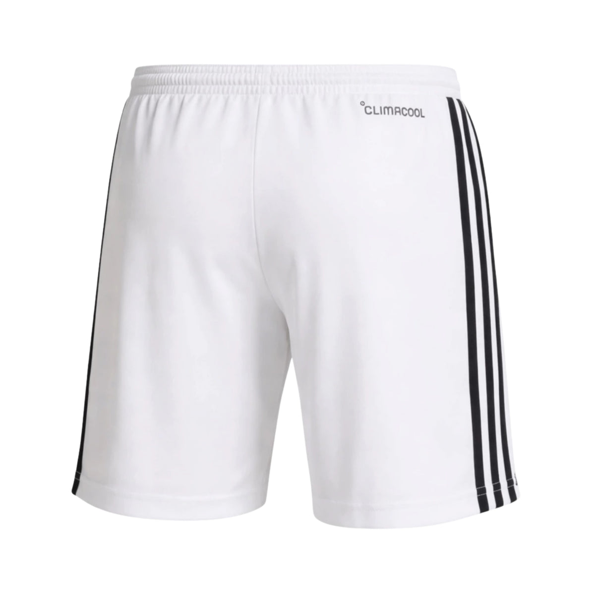 Short Belgique Extérieur 26/27 - Vue de dos