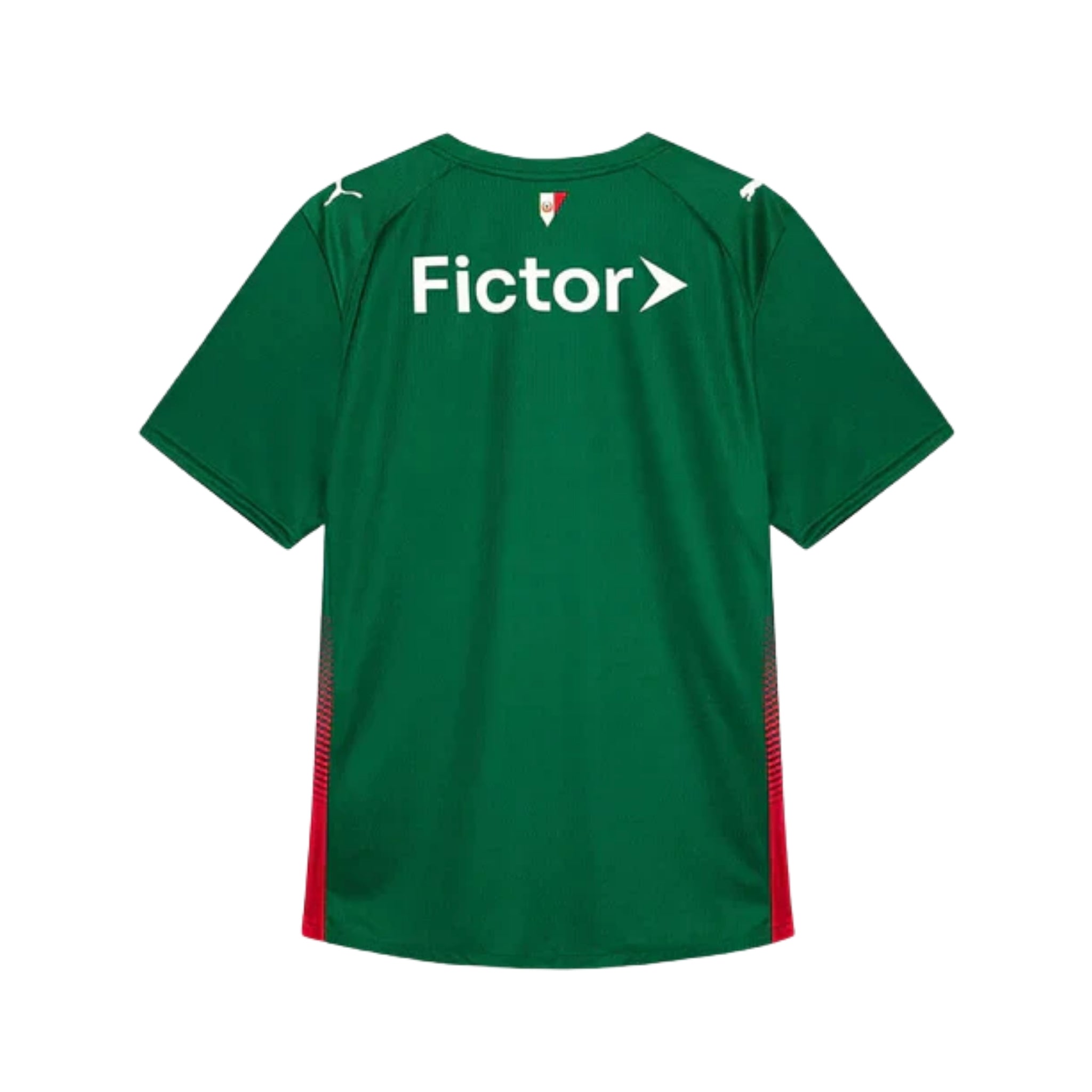 Palmeiras Domicile 26/27 - Détail