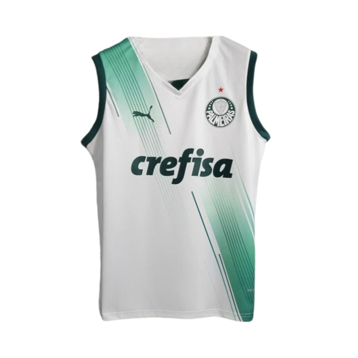 Palmeiras Entraînement 23/24 - Manches Cava - Vue de face