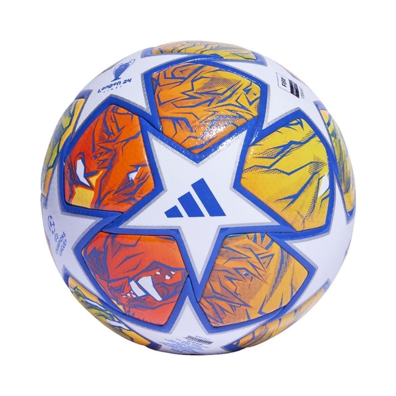Ballon - Ligue des Champions 23/24