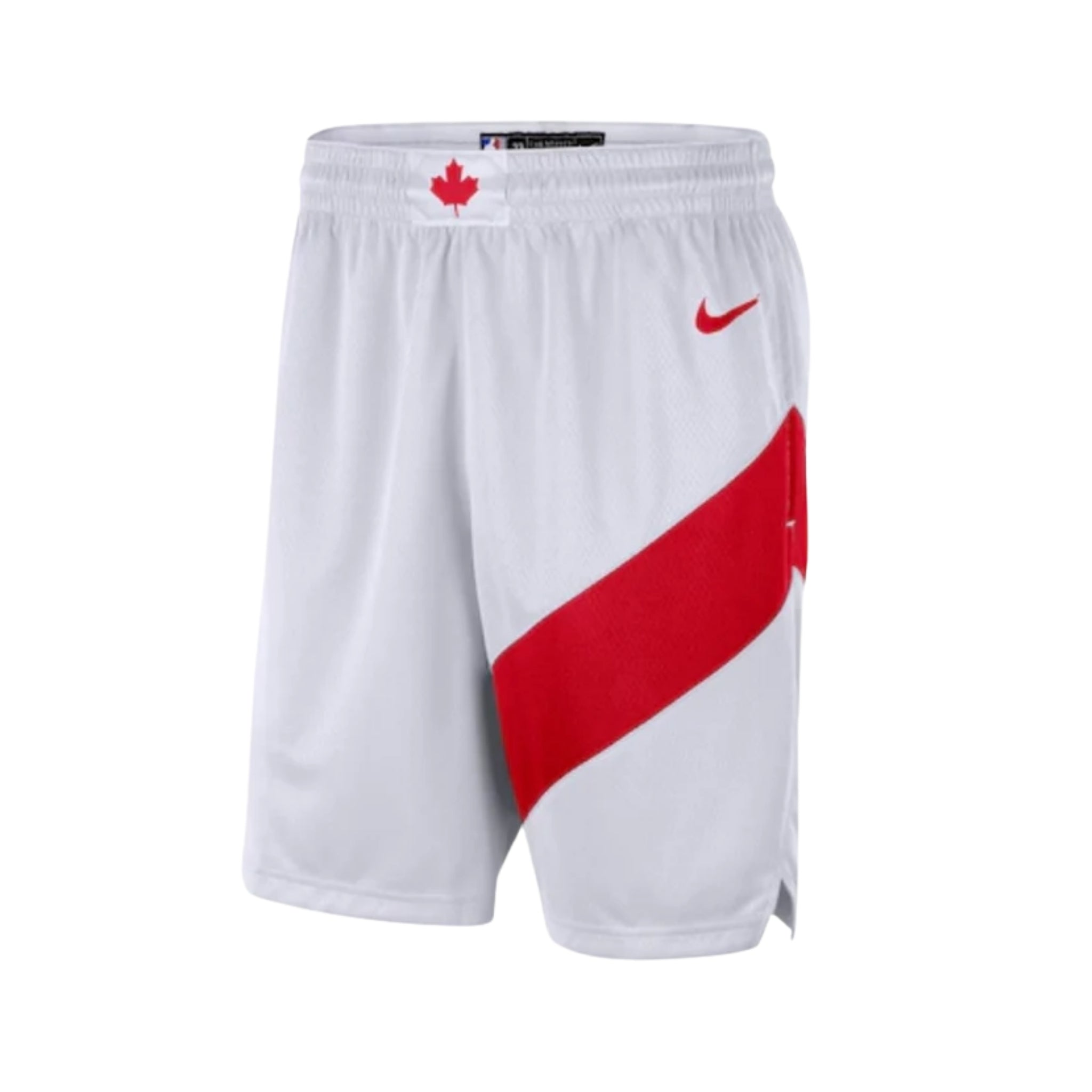 Toronto Raptors Association Edition 25/26 - Détail