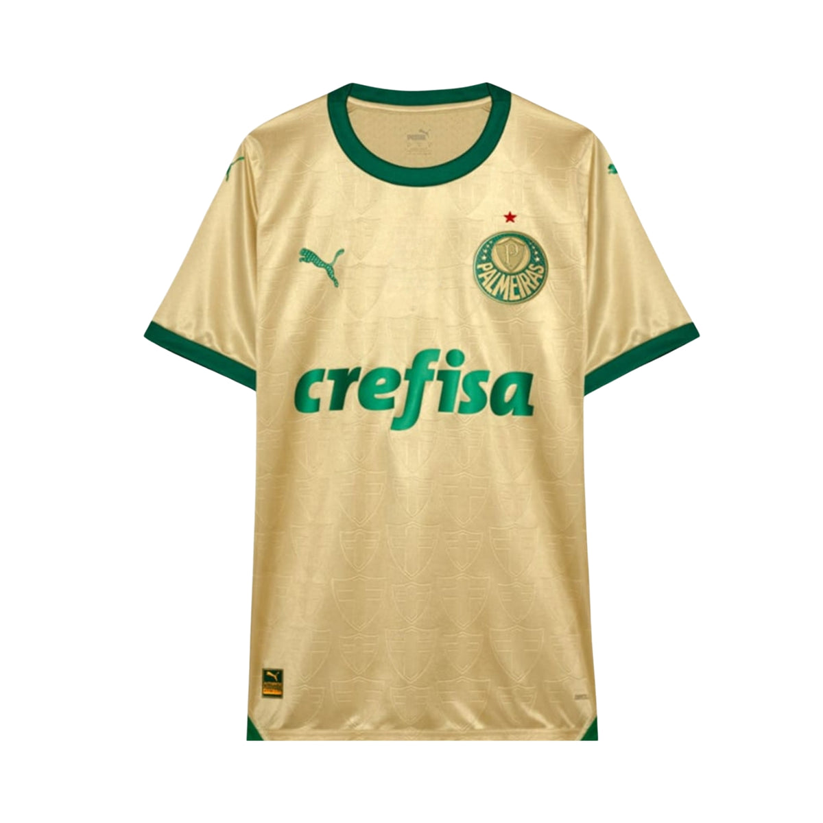 Palmeiras Troisième 24/25 - Vue de face