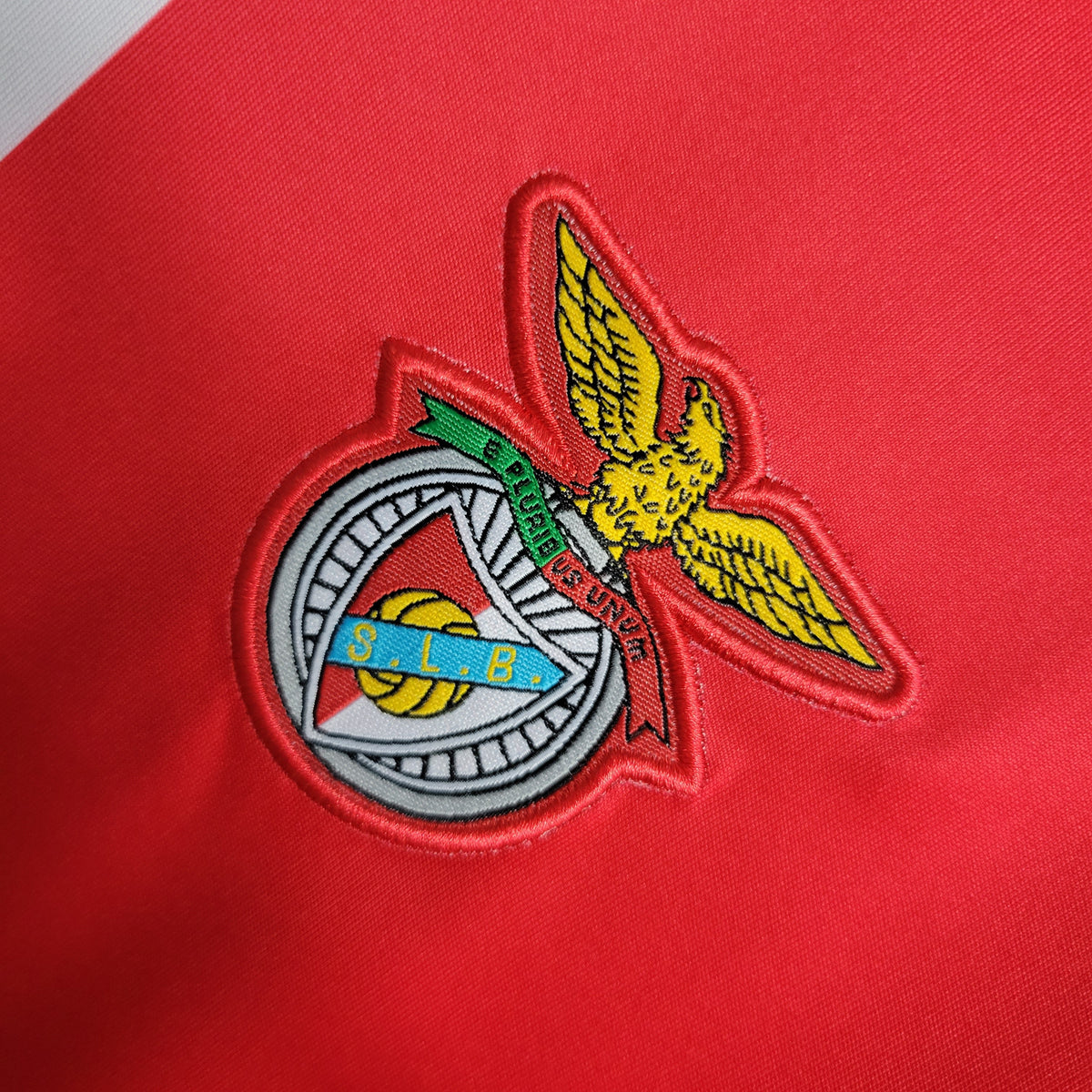 Benfica Domicile 04/05 - Porté