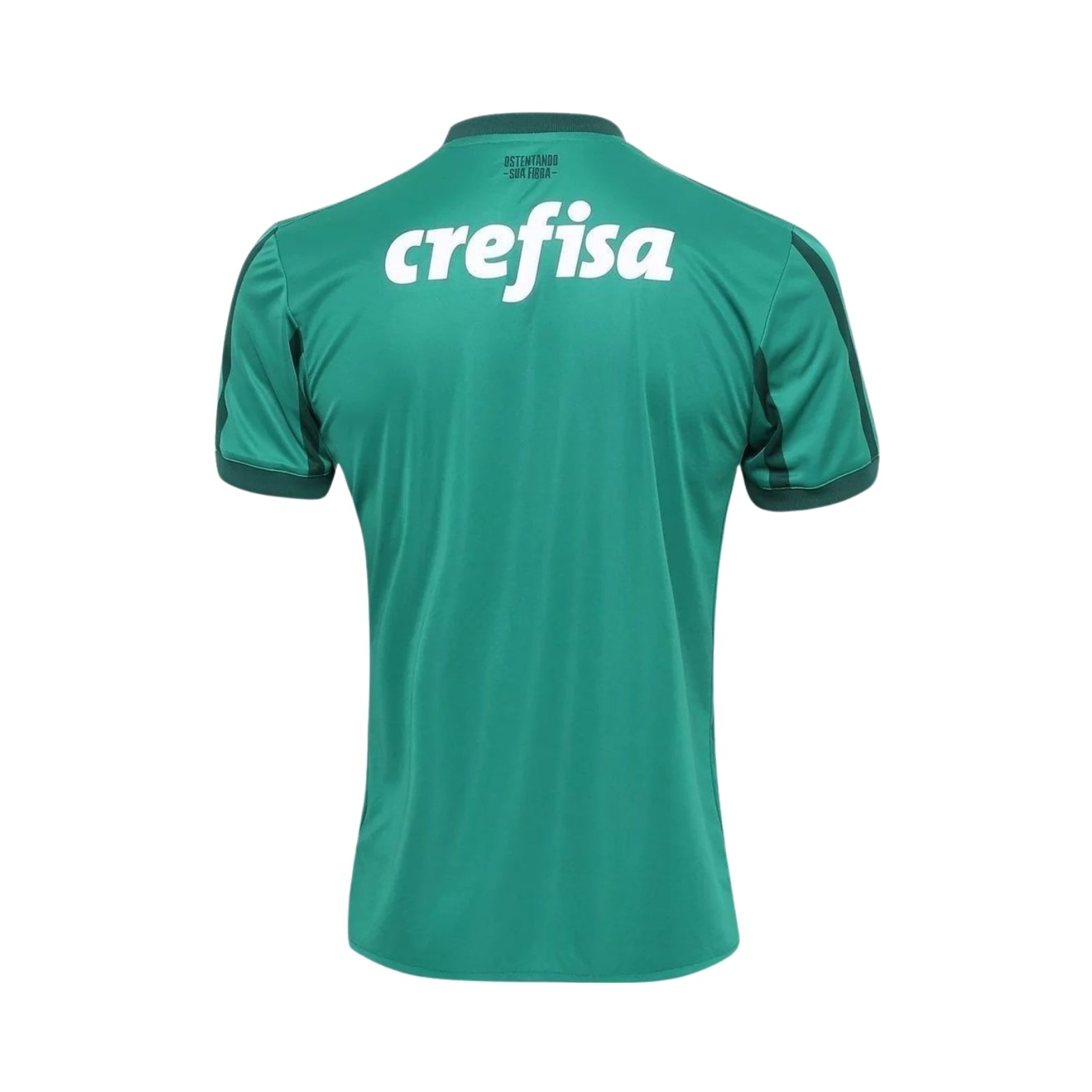 Palmeiras Domicile 17/18