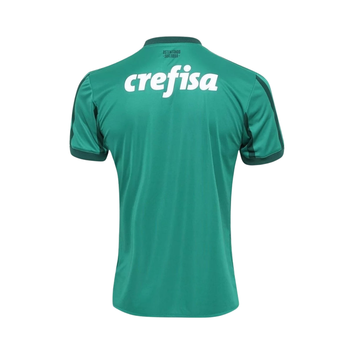Palmeiras Domicile 17/18 - Vue de dos