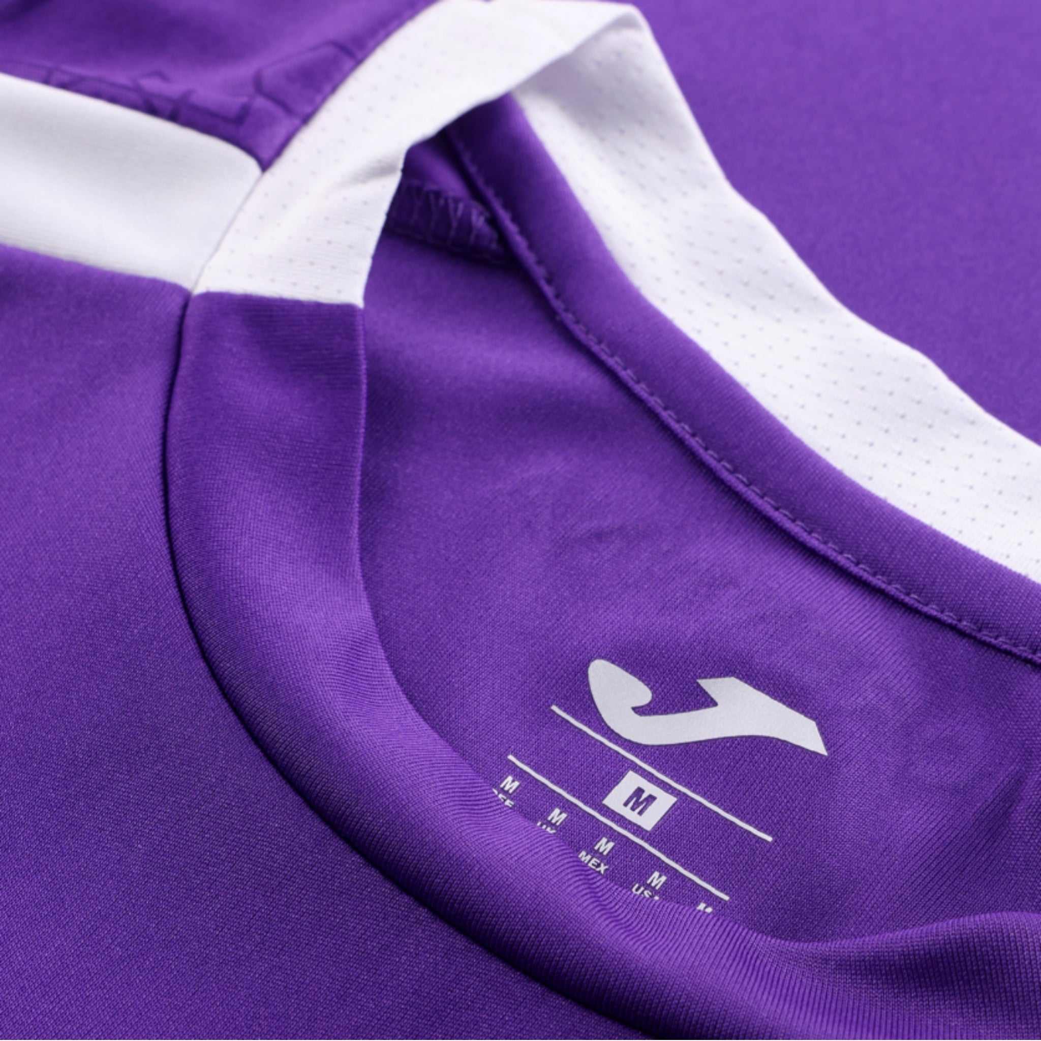 Fiorentina Gardiens de But 26/27