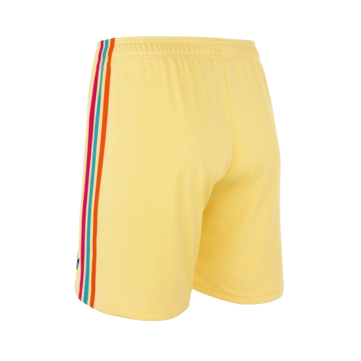 Short Curaçao Extérieur 26/27 - Vue de dos