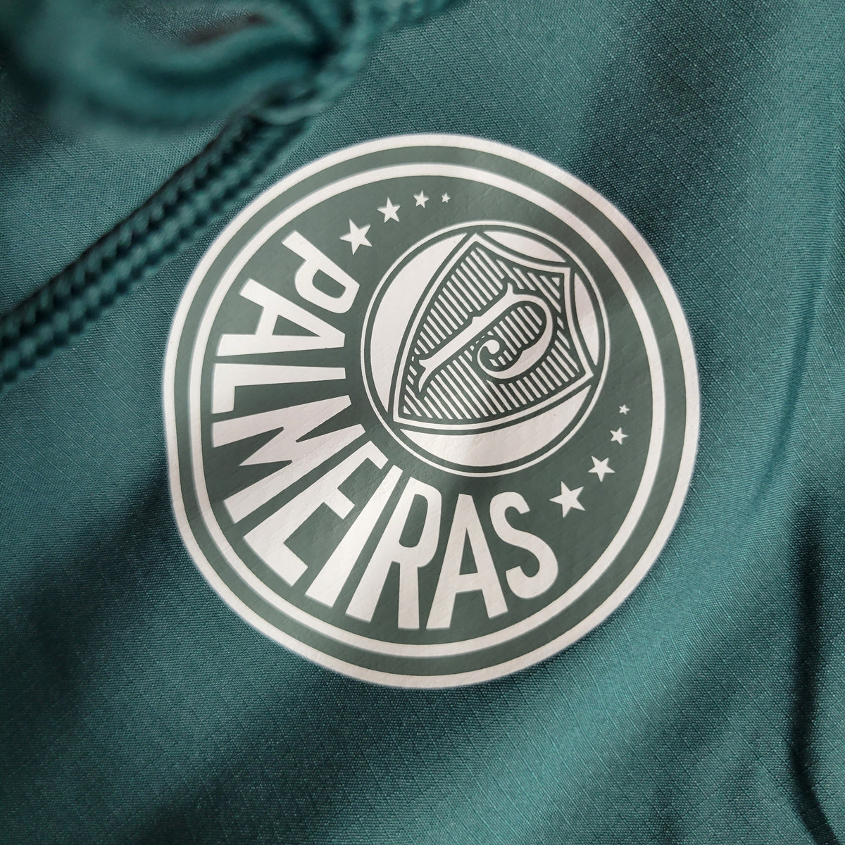 Coupe-Vent - Palmeiras - Vue rapprochée
