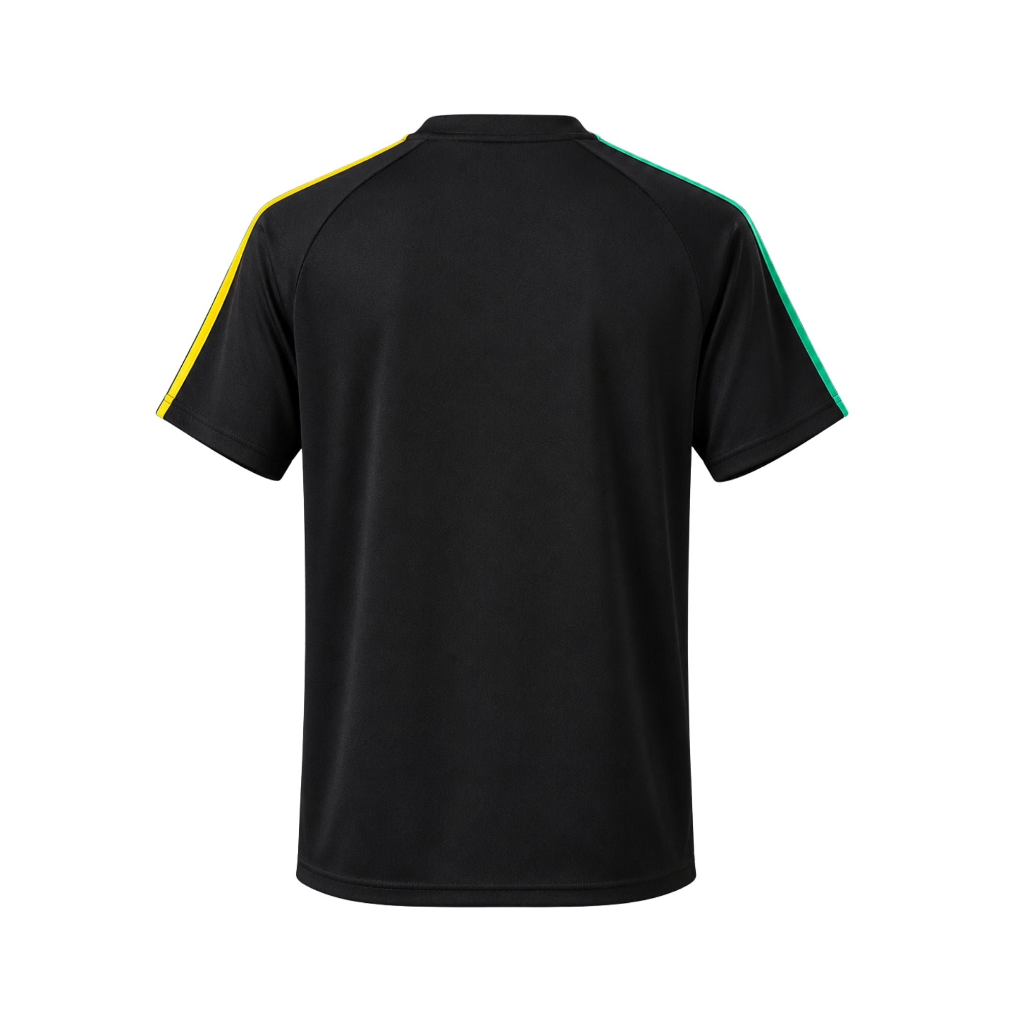 Celtic Édition Spéciale 26/27