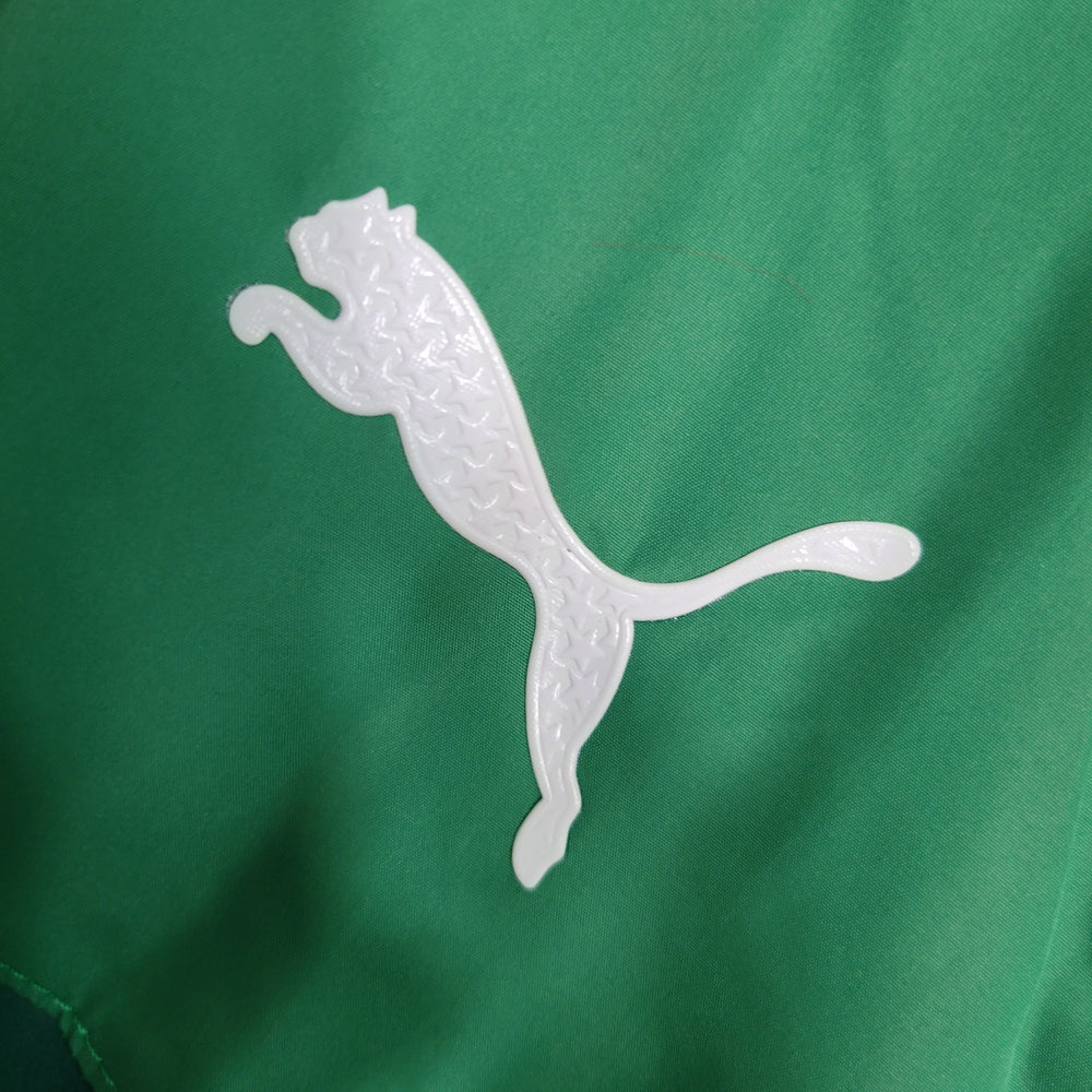 Windbreaker - Palmeiras