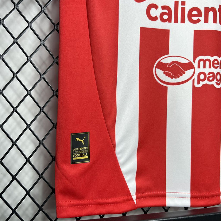 Kit - C.D. Guadalajara Chivas Domicile 24/25