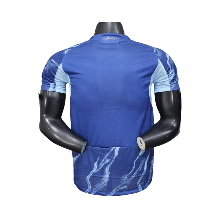 Ajax Extérieur 25/26 - Version Joueur