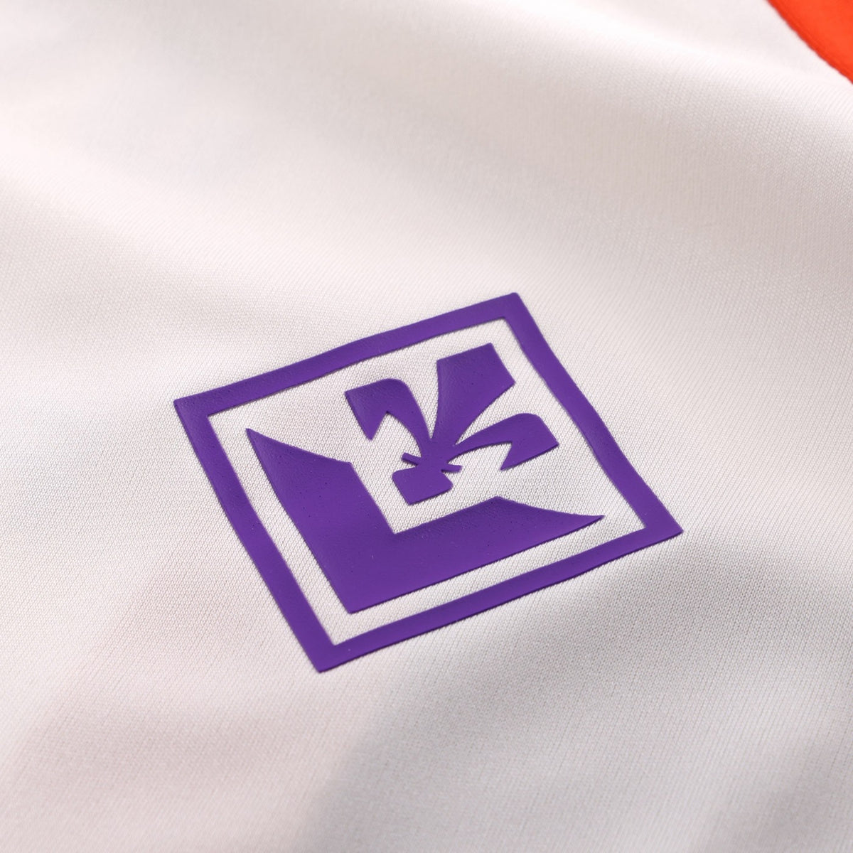 Fiorentina Entrainement 26/27