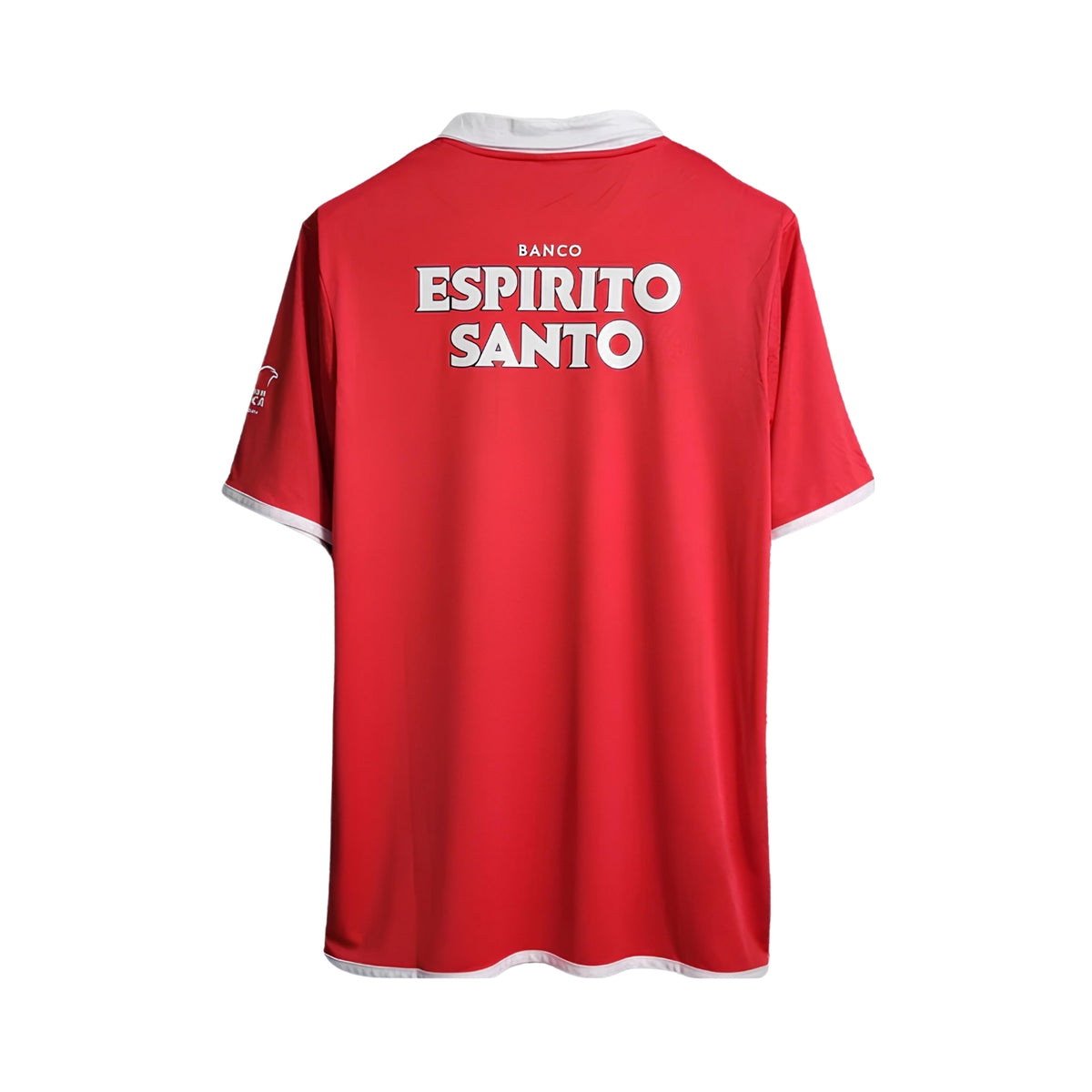 Benfica Domicile 04/05 - Vue de dos