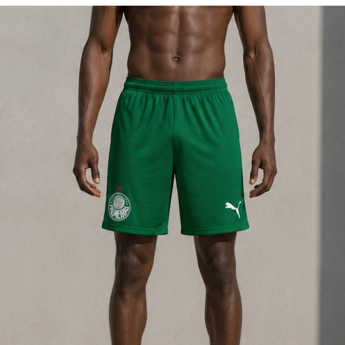Short Palmeiras Extérieur 26/27
