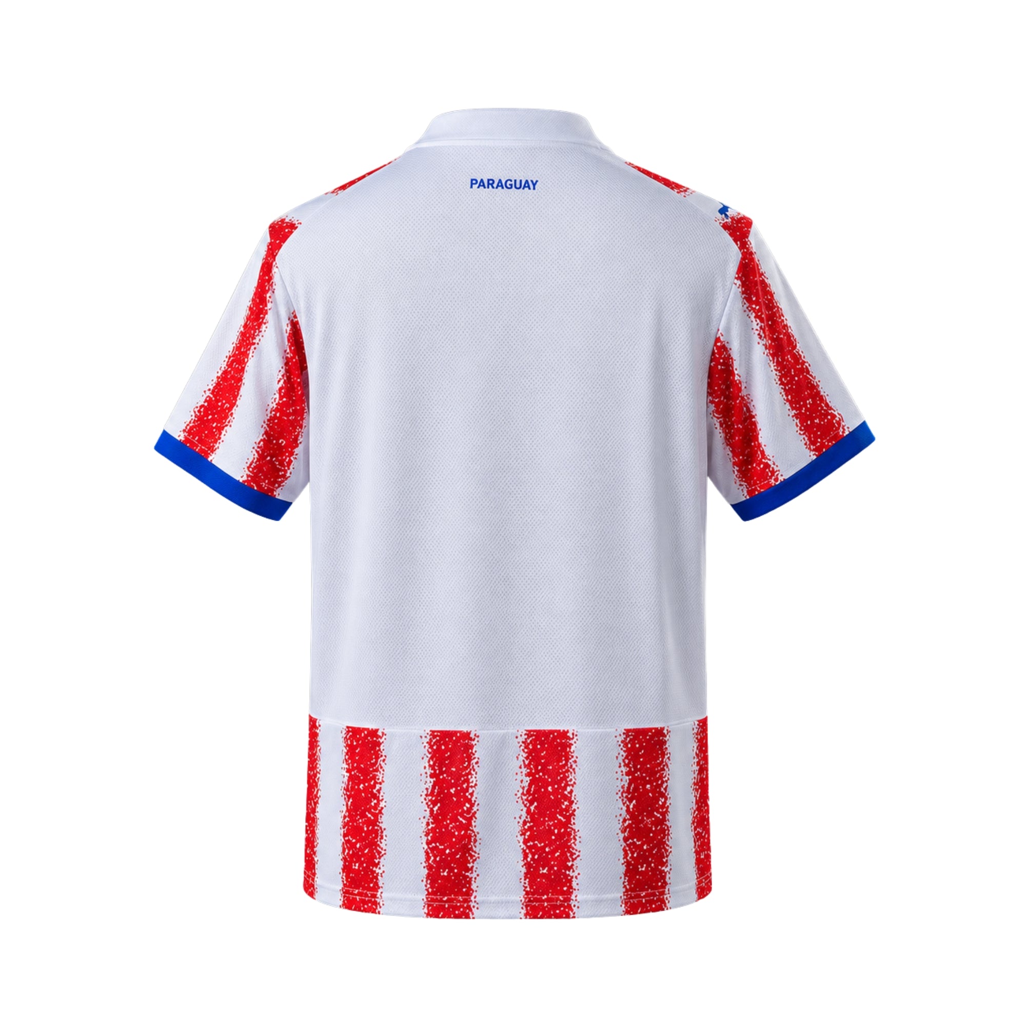 Paraguay Domicile 26/27 - Coupe du Monde 2026