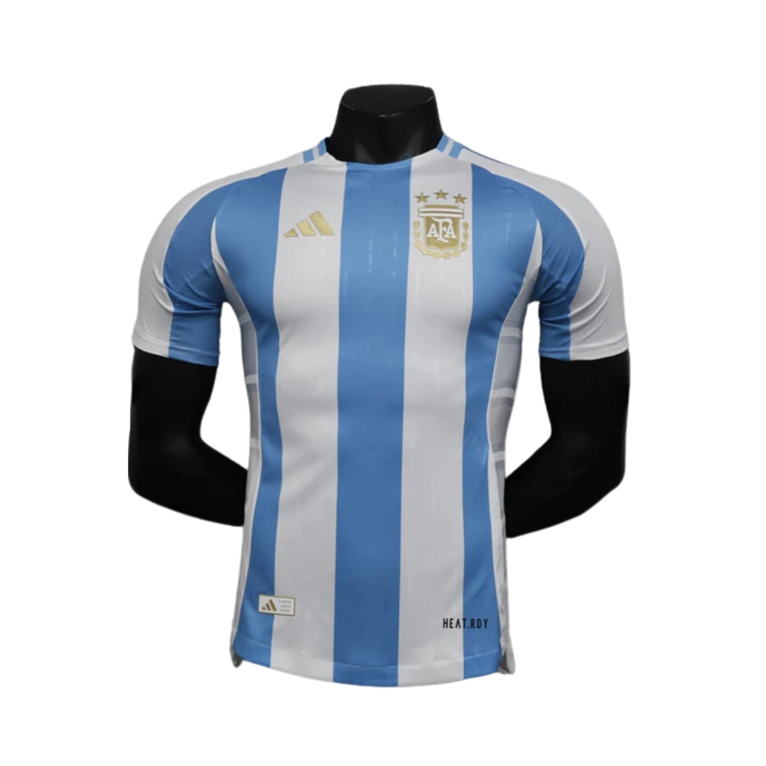 Argentine Domicile 24/25 - Version Joueur