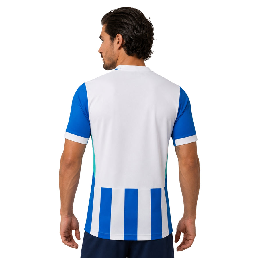 Brighton Domicile 25/26