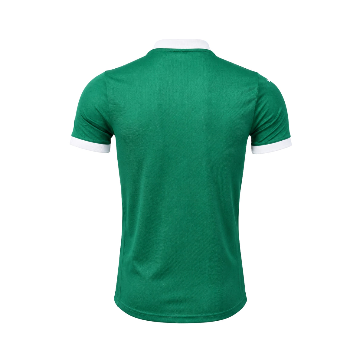 Palmeiras Domicile 25/26 - Version Joueur