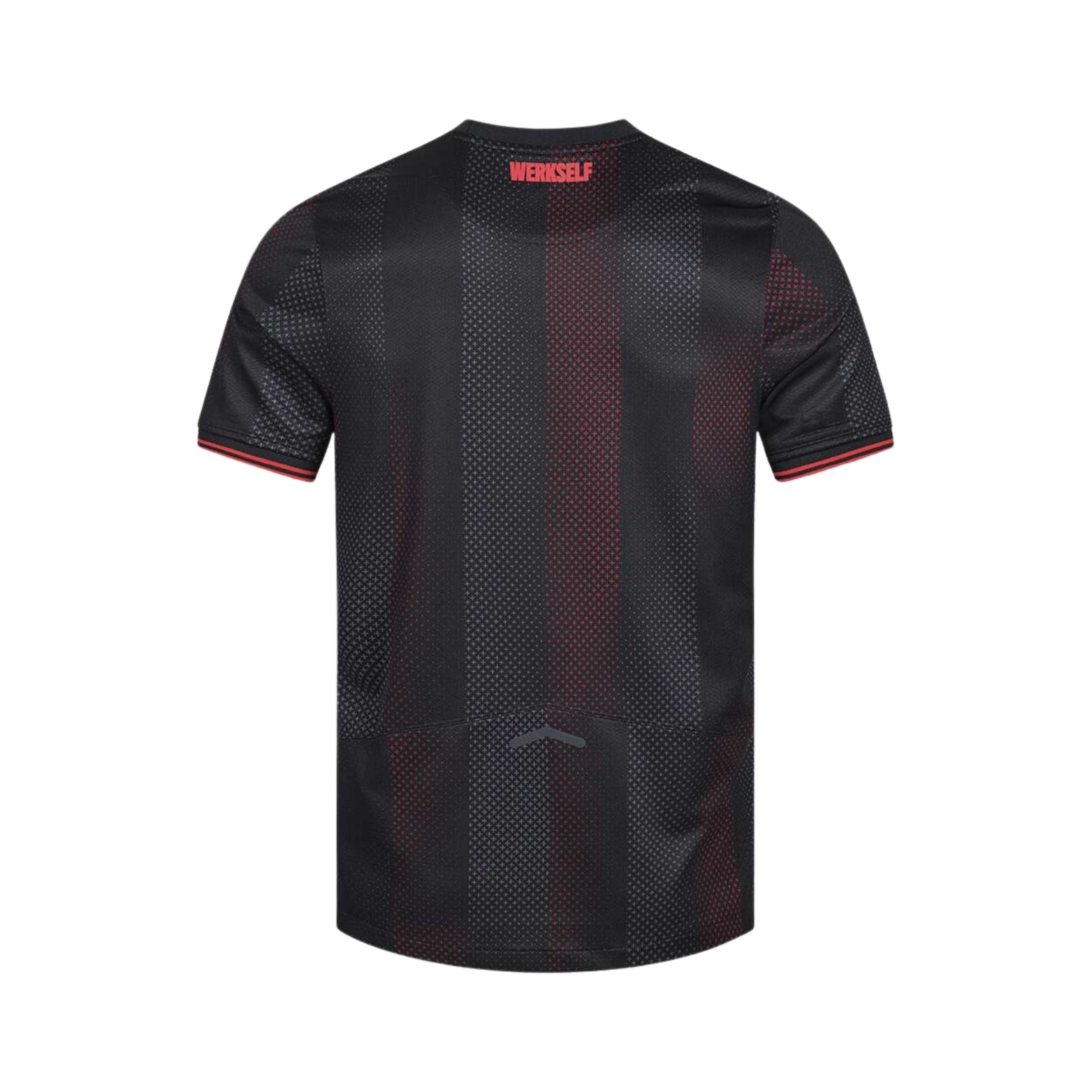 Bayer 04 Leverkusen Domicile 25/26