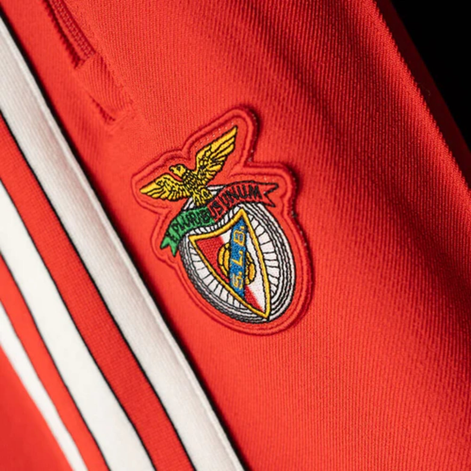 Benfica 25/26 - Survêtement - Zip Complet