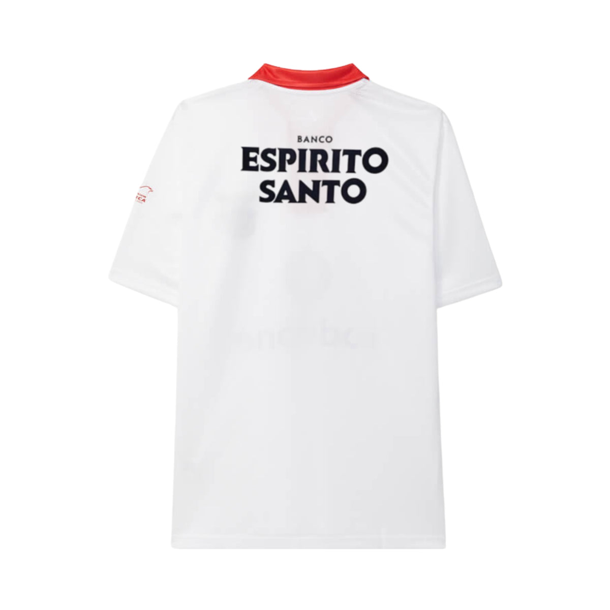Benfica Extérieur 04/05 - Vue de dos