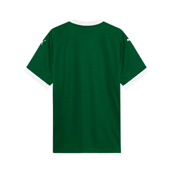 Palmeiras Domicile 25/26