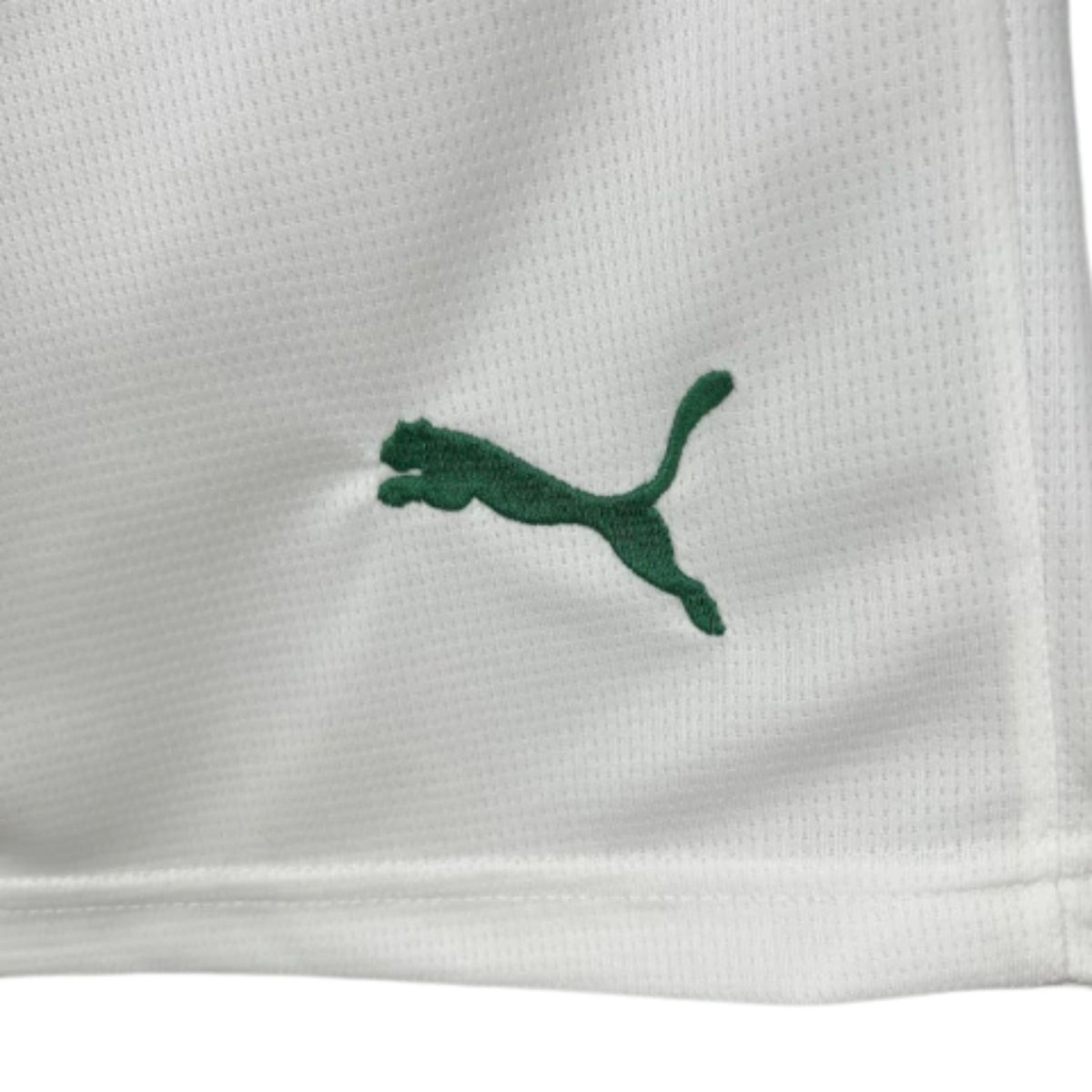 Short Palmeiras Domicile 25/26 - Vue rapprochée