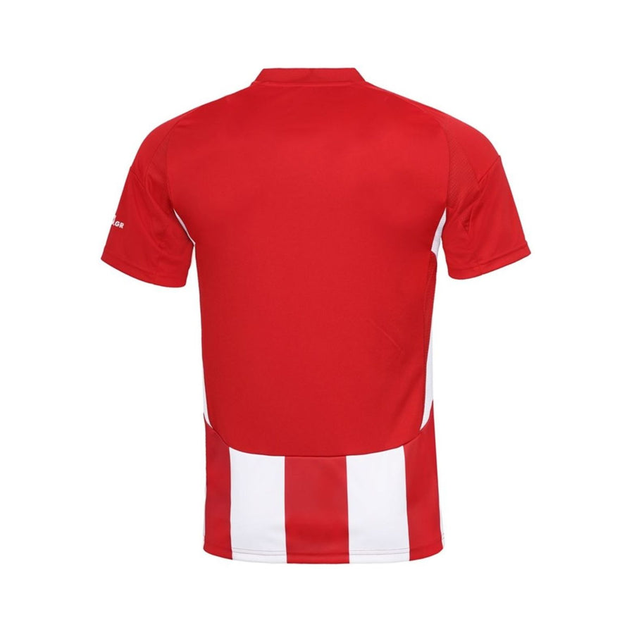 Olympiakos Domicile 24/25