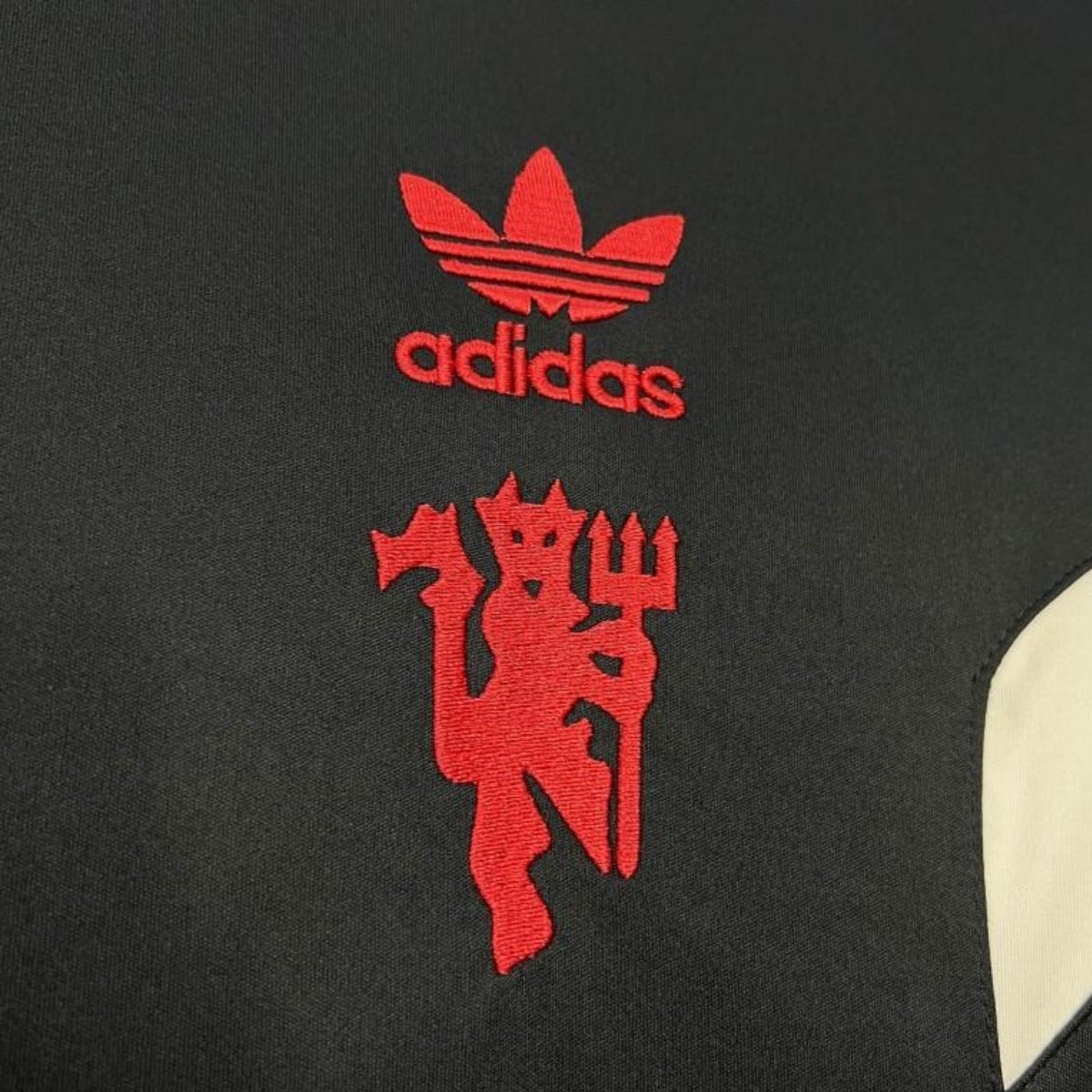 Manchester United Édition Speciale 24/25 - Porté