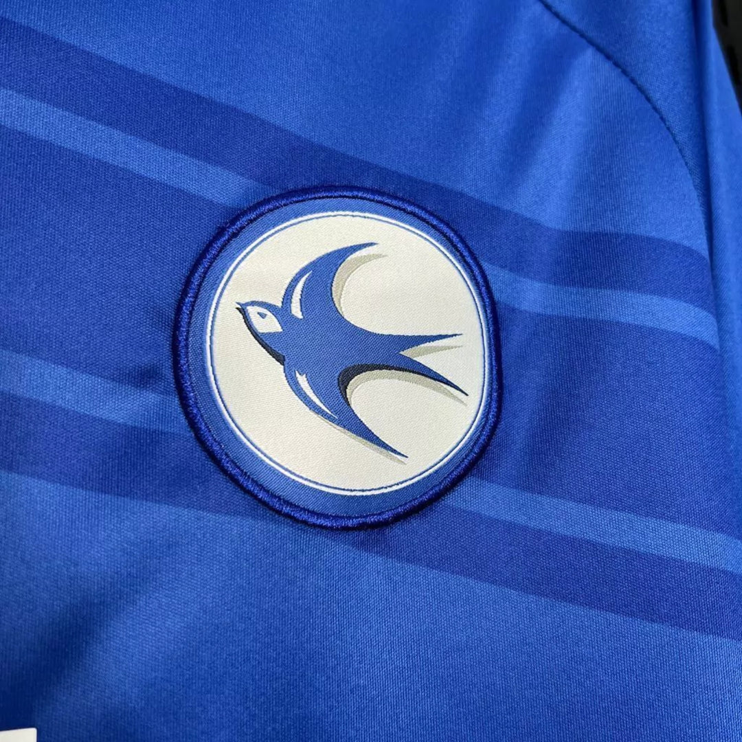 Cardiff City Domicile 24/25
