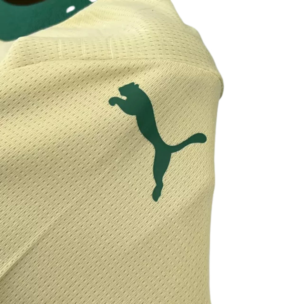 Kit Infantil Palmeiras Tercera 24/25