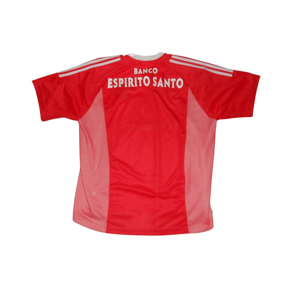 Benfica Domicile 02/03 - Vue de dos