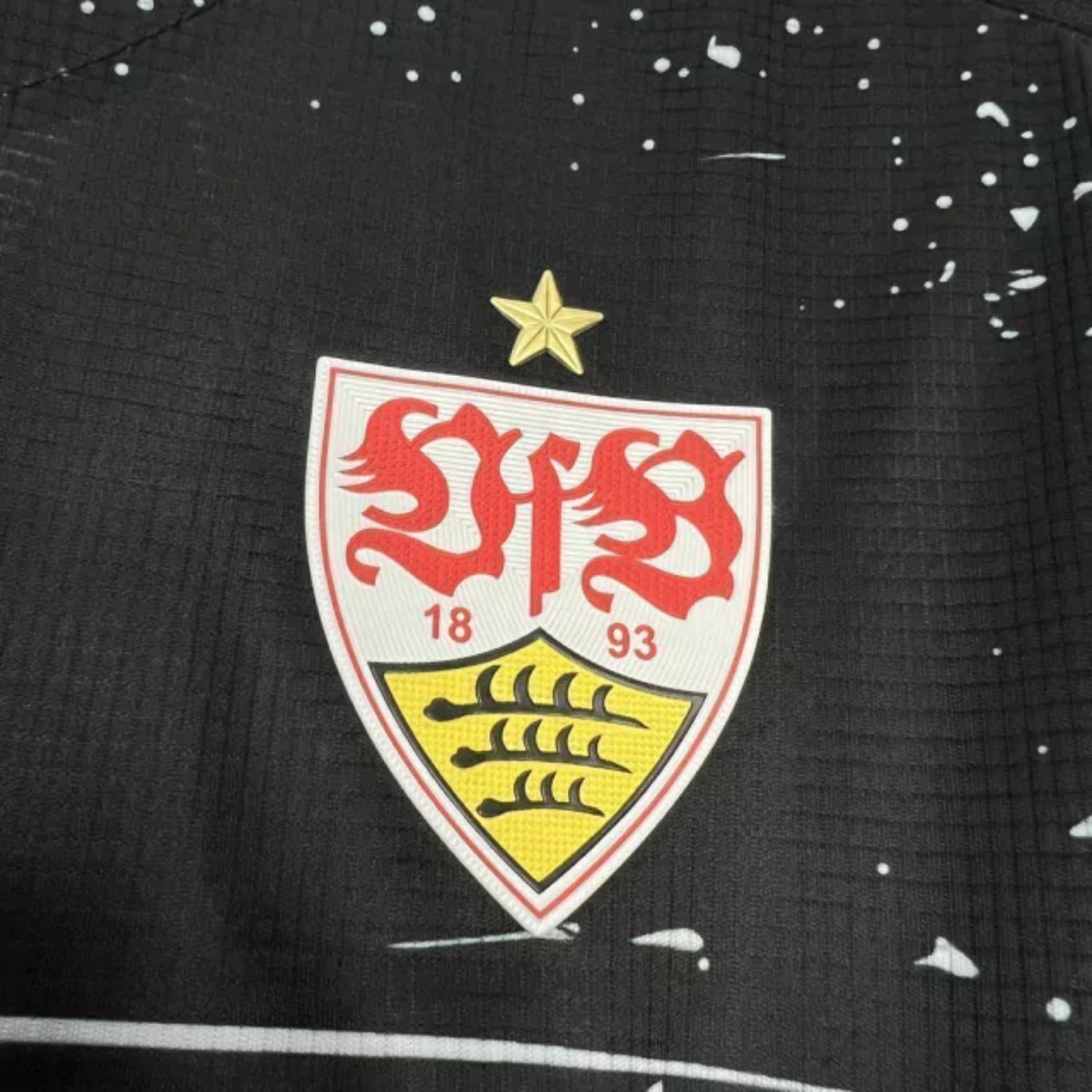VfB Stuttgart Troisième 24/25