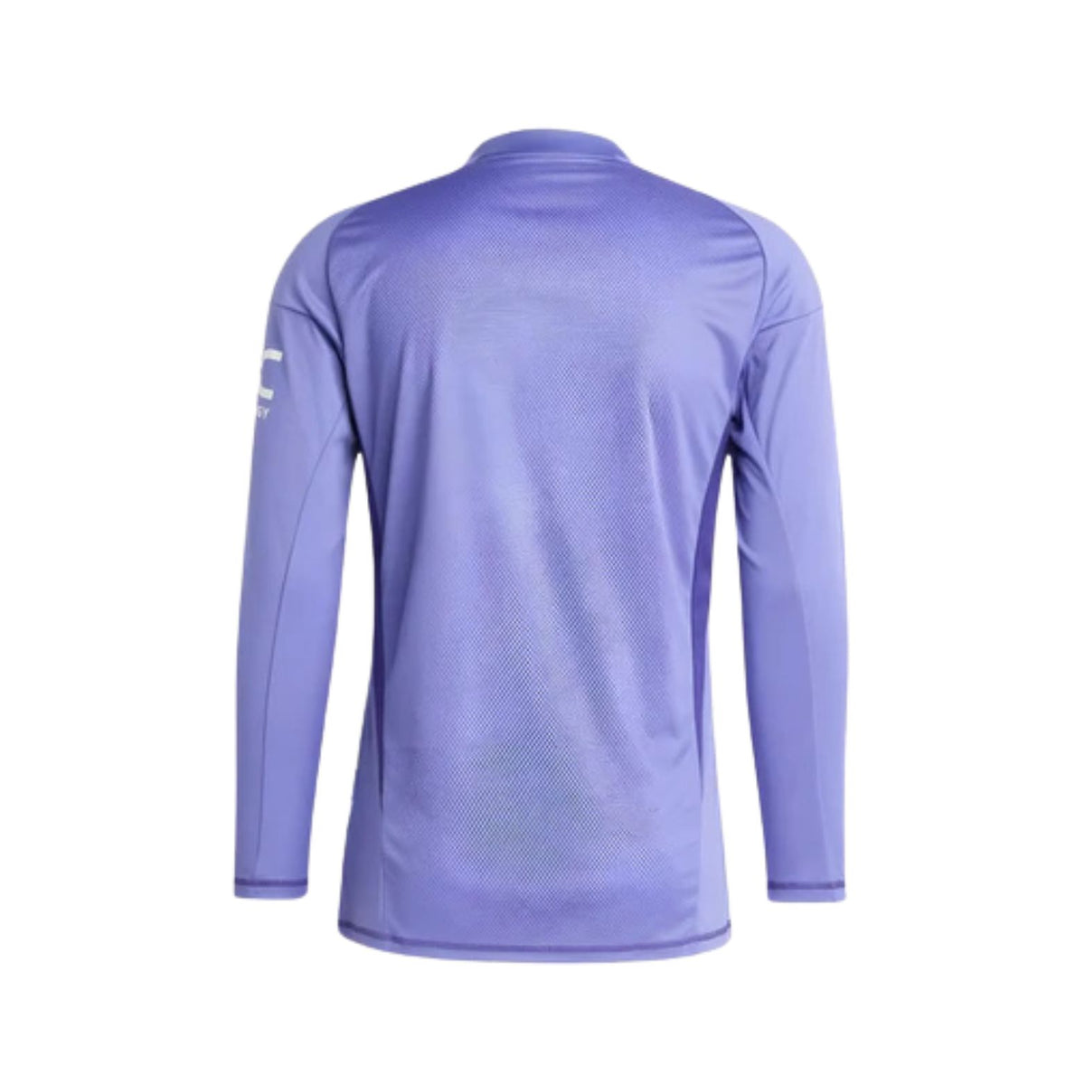 Manchester United Goalkeepers 24/25 - Long Sleeves - Back view