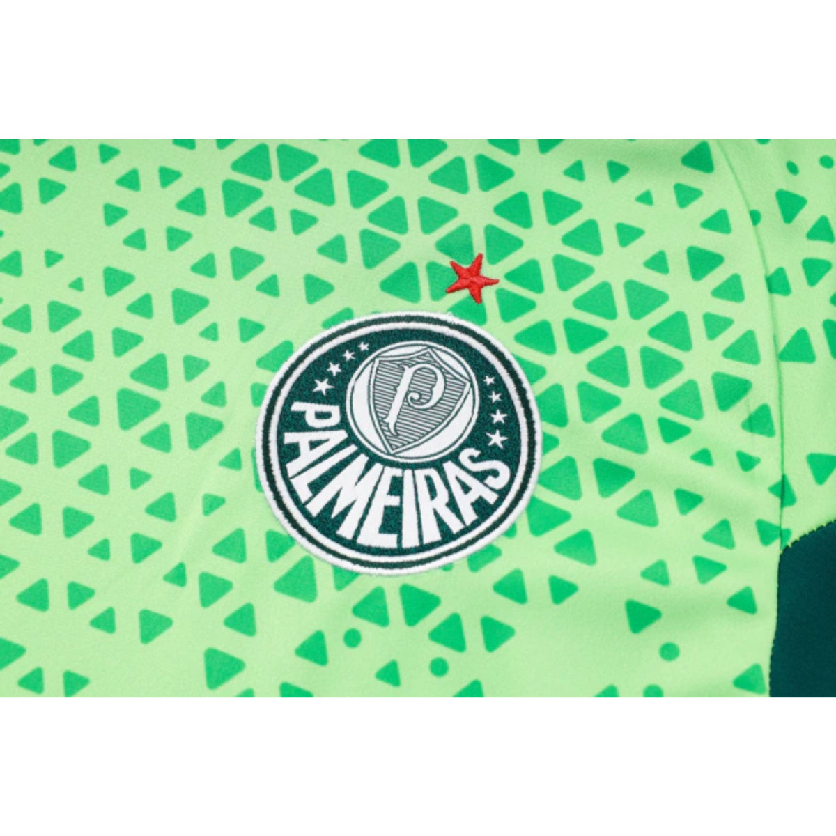 Palmeiras 24/25 - Équipement de Entraînement - Vue rapprochée
