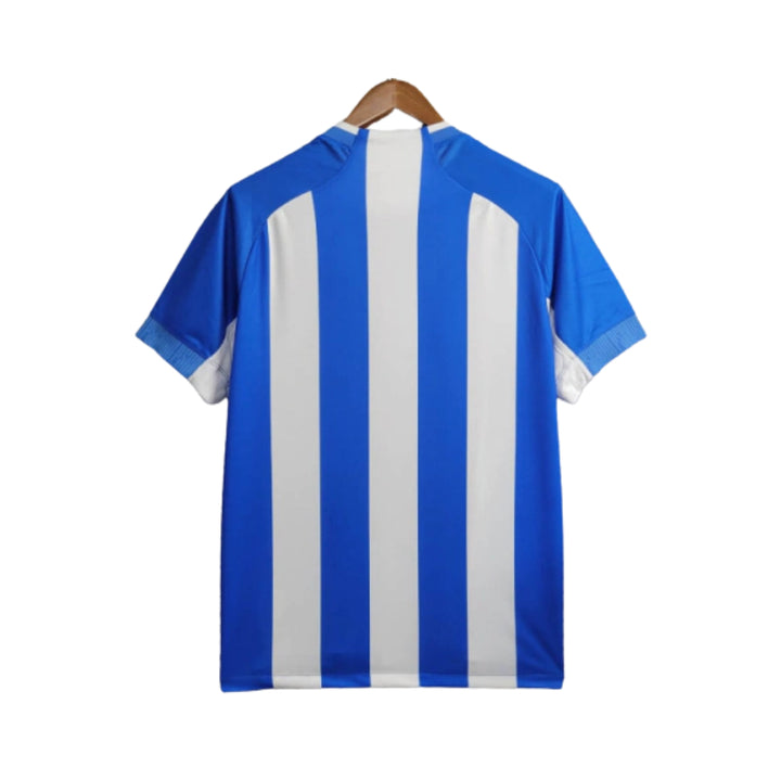 Paysandu Domicile 24/25