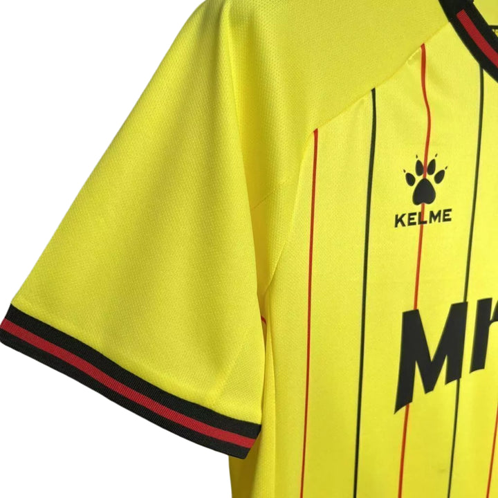 Watford Domicile 24/25
