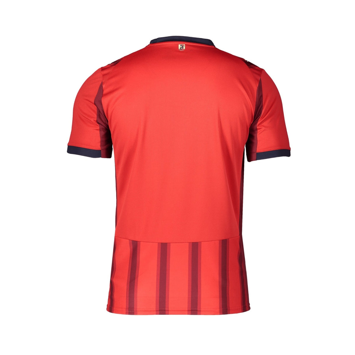 Heidenheim Home 25/26 - Back view