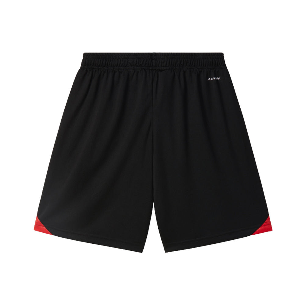 Benfica Training Shorts 25/26