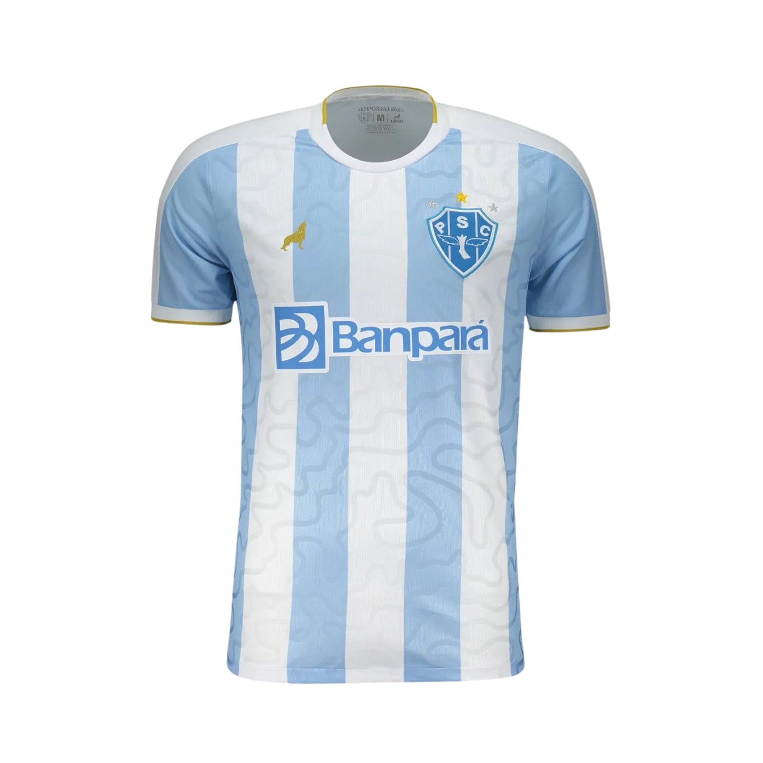 Paysandu Domicile 25/26