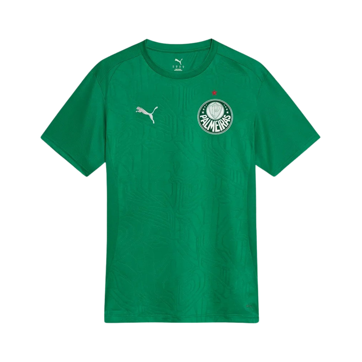 Palmeiras Entraînement 25/26 - Vue de face